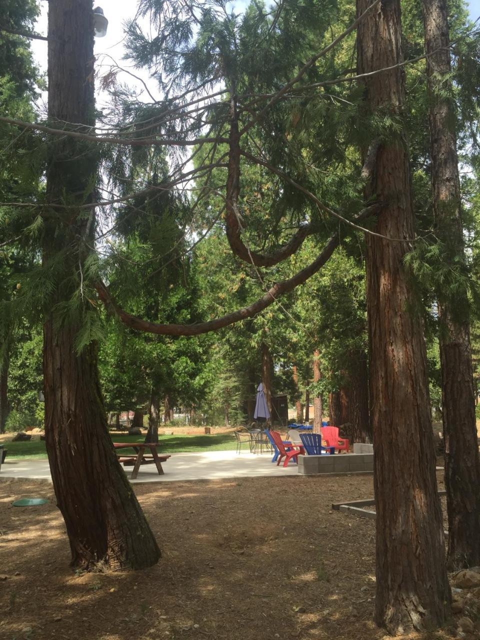 Sierra Sky Lodge Sloat 외부 사진