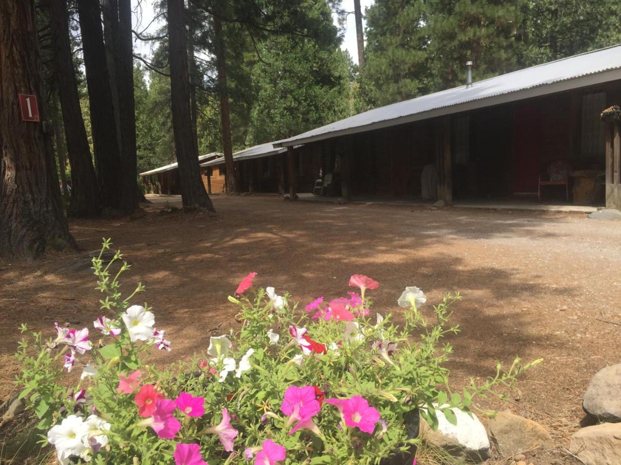 Sierra Sky Lodge Sloat 외부 사진